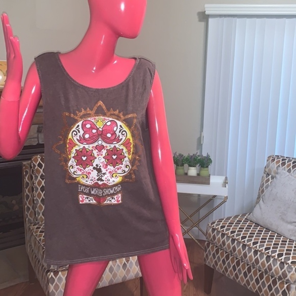 Disneyland top